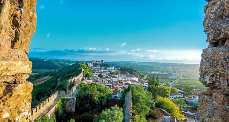 Une vue panoramique d'une ville historique avec un mur de château surplombant un paysage verdoyant et luxuriant et un ciel bleu.