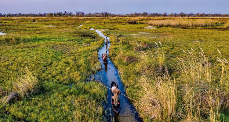 Des personnes dans des pirogues mokoro traditionnelles naviguant à travers les voies navigables.