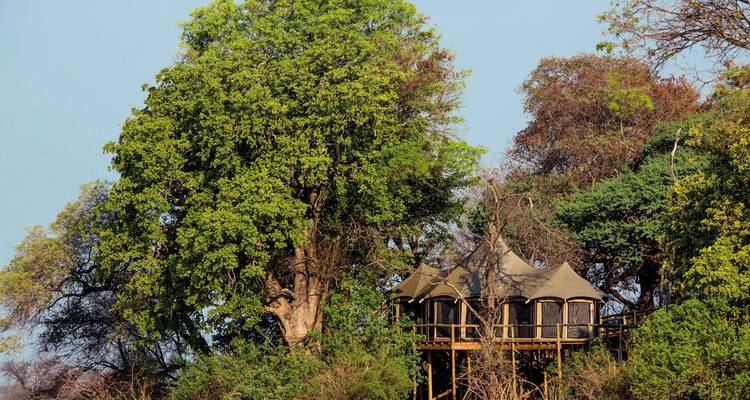 Treehouse accommodation nestled amid dense foliage.