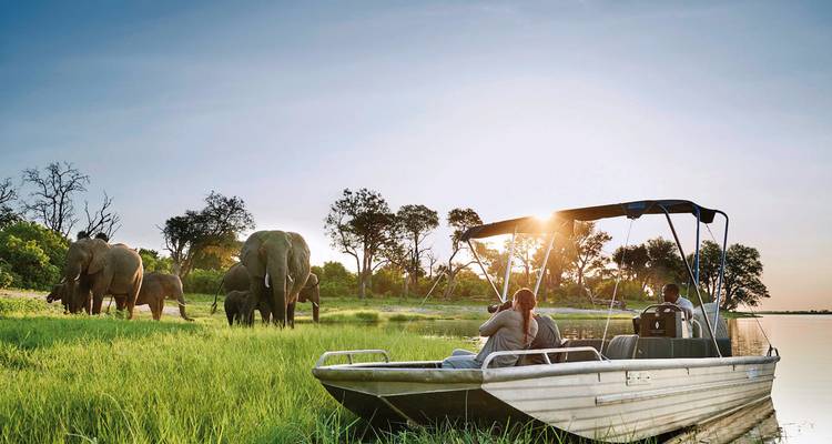 Safari with elephants grazing near a waterway.