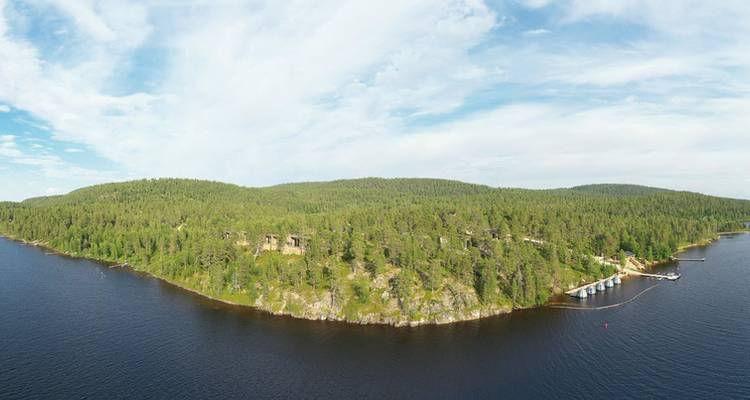 Luftaufnahme eines bewaldeten Gebiets mit einer Küstenlinie.