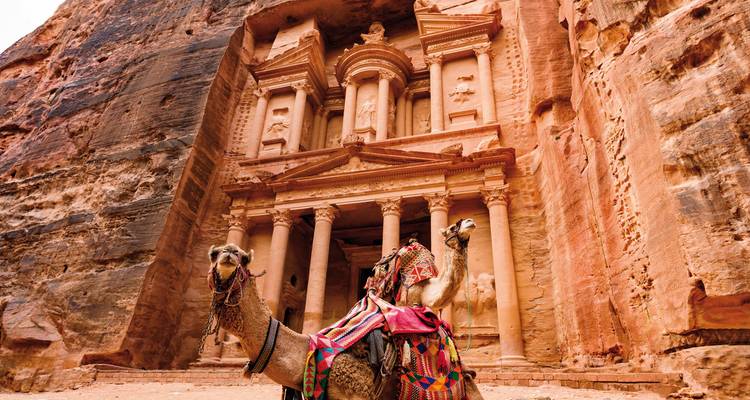 Kamel vor der Petra-Fassade.