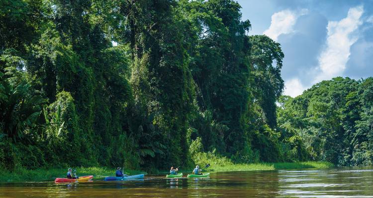 Kajakkers peddelen langs een rivier omringd door weelderig regenwoud.