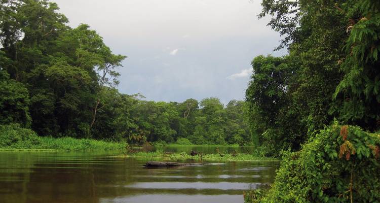 Serene junglerivier met dichte bladerdek en dramatische wolken.