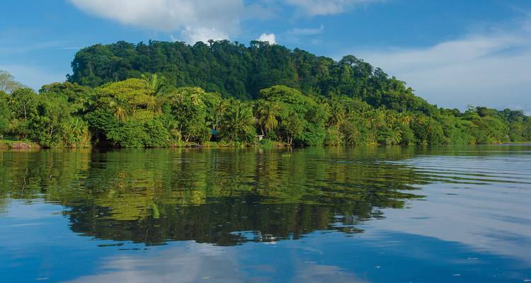 Weelderig rivierlandschap met dicht tropisch bos weerspiegeld in het water.