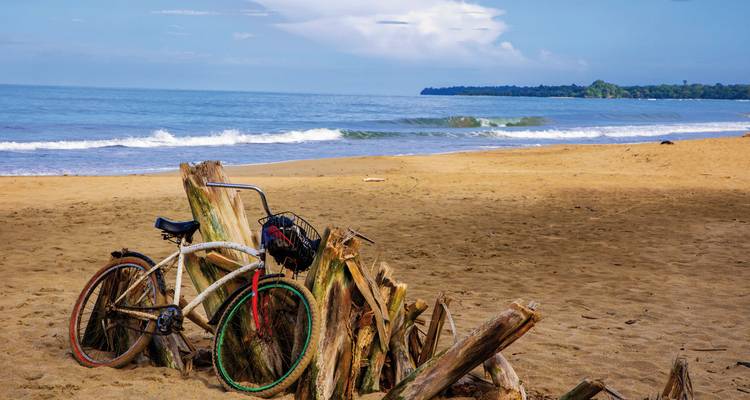 Fiets leunend tegen drijfhout aan de kust, met het gezicht naar de oceaangolven.