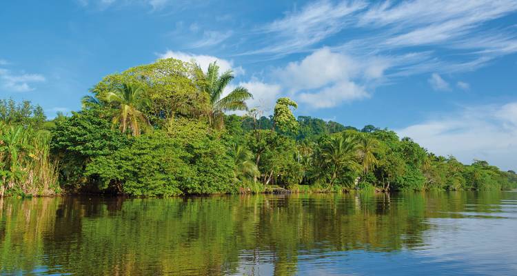 Weelderig groen regenwoud dat een kalme rivier omringt met een heldere blauwe lucht.