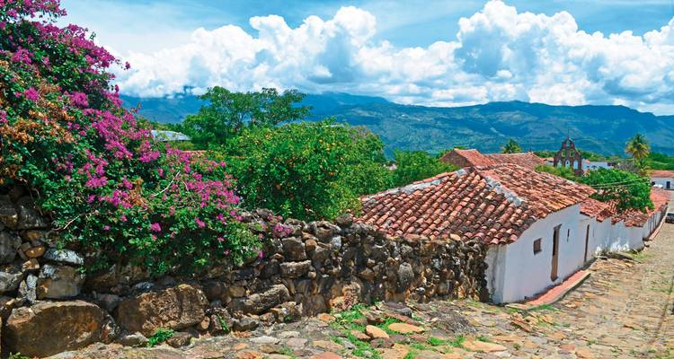 Colorful flowers and traditional stone houses in a village.