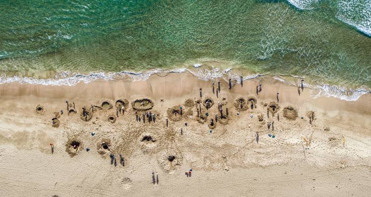 Aerial view of a beach with people digging holes in the sand.