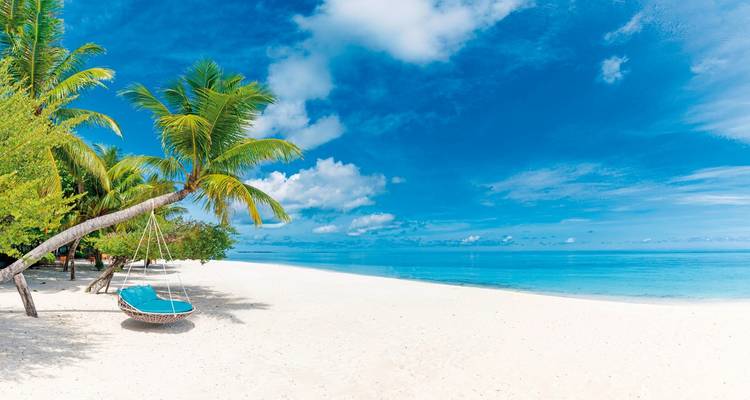 A hammock swaying under a palm tree on a pristine beach.