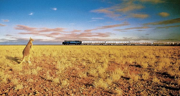 Ein Zug, der durch eine weite, flache und offene Landschaft mit einem Känguru fährt.