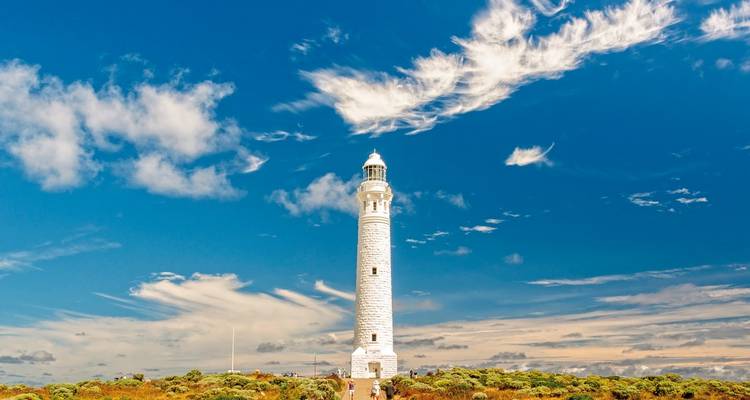 Hoher Leuchtturm mit klarem Himmel und niedrigen Sträuchern