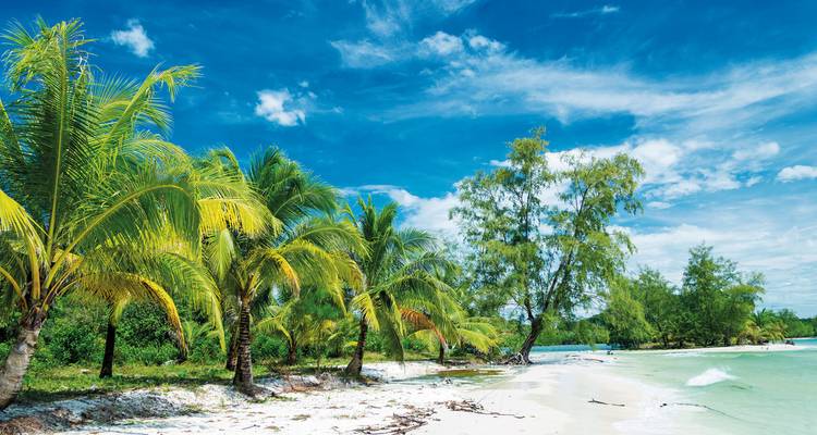 Plage tropicale avec palmiers et ciel bleu clair.