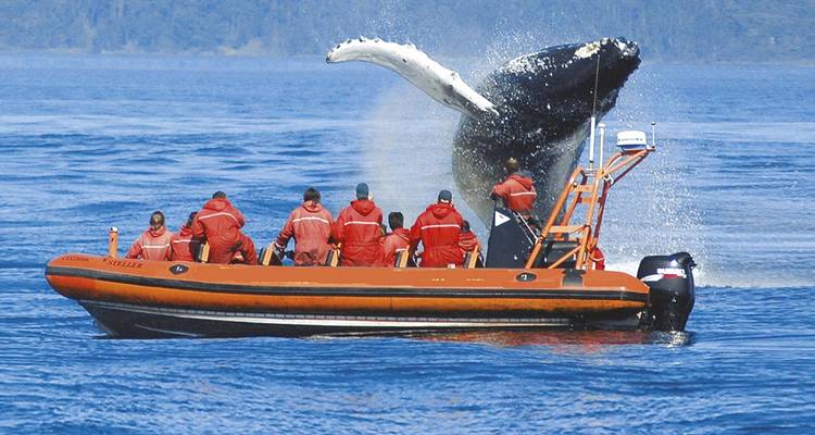 Treasures of the Rockies & Alaskan Cruise (from Victoria to Vancouver) - Scenic Luxury Cruises & Tours