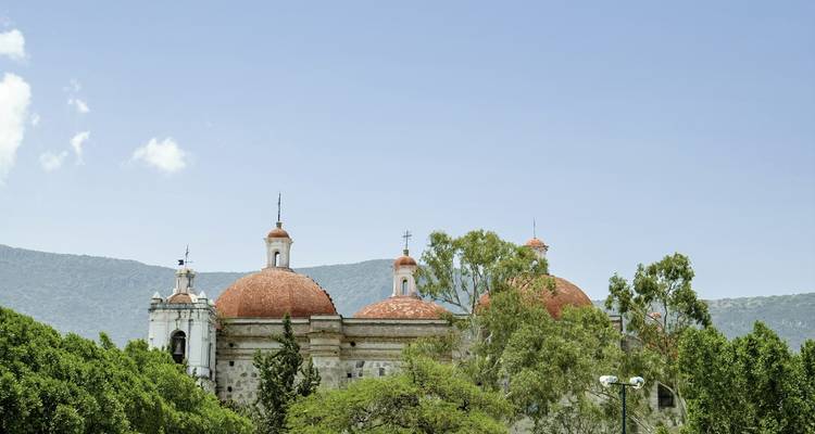 Église avec des dômes et de la végétation autour d'elle.
