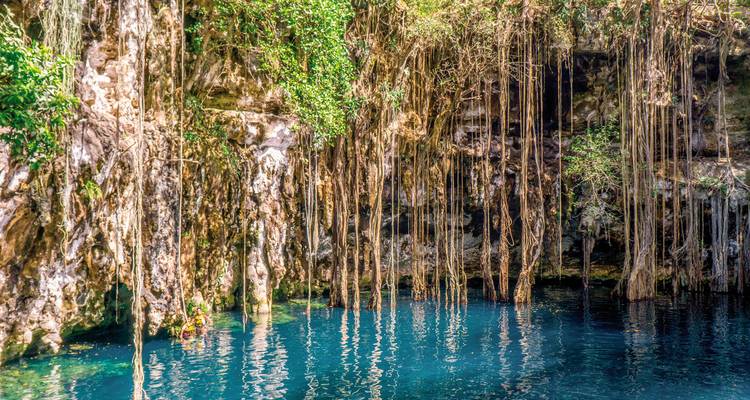 Eine Cenote mit Ranken und klarem blauem Wasser.