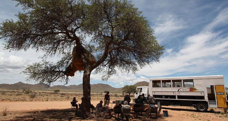 Reizigers ontspannen zich onder een schaduwrijke acacia naast een overland safaritruck in een droog savannegebied.