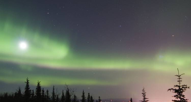 Aurores boréales d'un vert vibrant dansant à travers un ciel nocturne étoilé au-dessus de sombres épicéas près de Fairbanks.