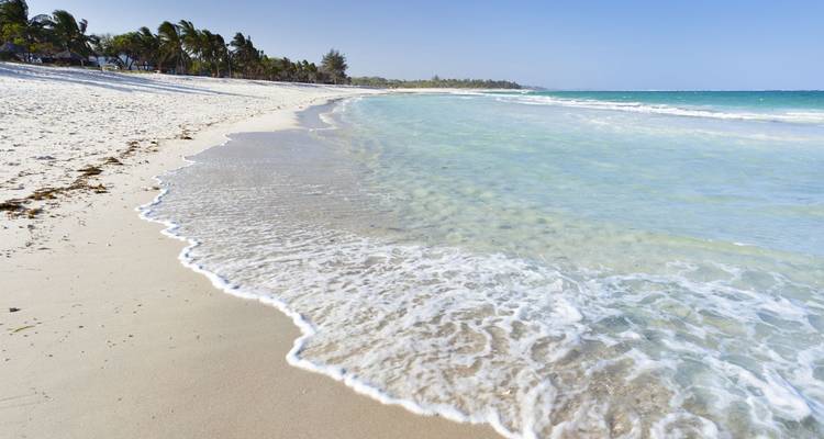Playa de arena blanca impecable y aguas turquesas del Océano Índico bordeadas de palmeras en Diani.