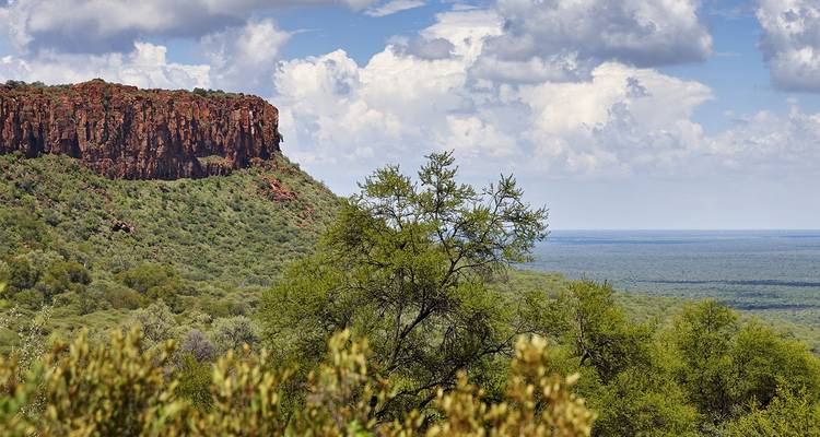 Un acantilado de arenisca roja de la Meseta de Waterberg se eleva sobre un bosque verde bajo un cielo lleno de nubes.