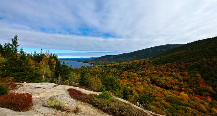 Scenic view of a vibrant forest with autumn-colored trees and a distant lake.