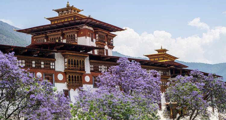 Ein traditionelles bhutanesisches Gebäude mit violett blühenden Bäumen im Vordergrund.