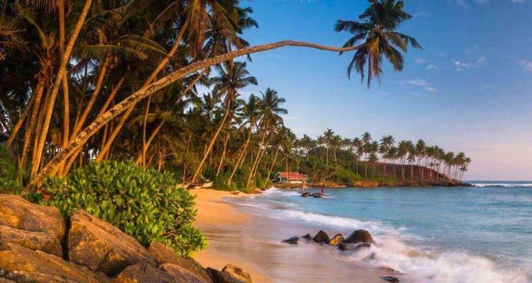 Palmenumsäumter tropischer Strand mit goldenem Sand und sanften Wellen bei Sonnenuntergang in Sri Lanka.
