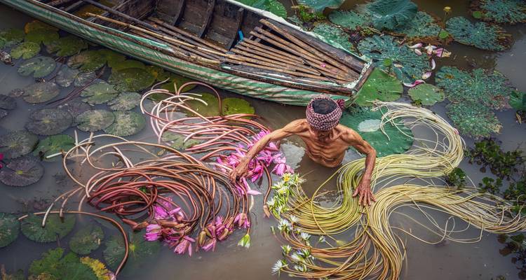 Person, die Lotusblüten in einer von Booten gefüllten Wasserstraße sortiert.