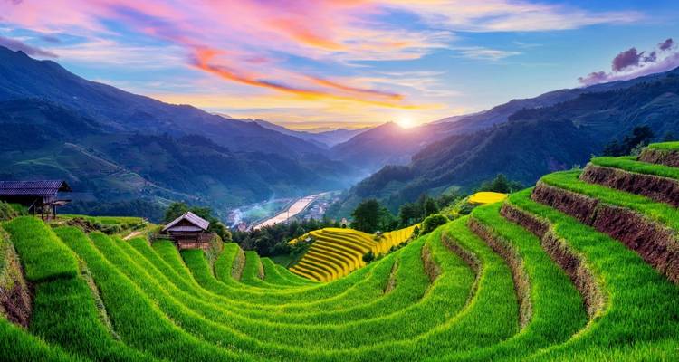 Vibrant sunrise over lush green terraced rice fields cascading down mountain slopes into a misty valley.