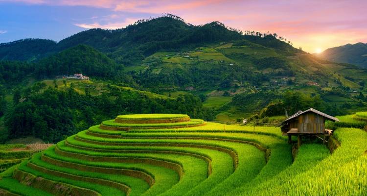Golden sunset lights layered rice terraces and verdant hills, with a small wooden hut at edge.