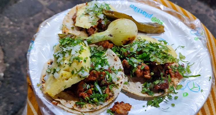 Teller mit Tacos, Belag und Garnitur.