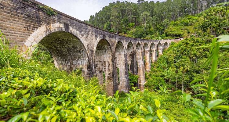 Eine malerische Aussicht auf eine neunbogige Brücke, umgeben von Grün.