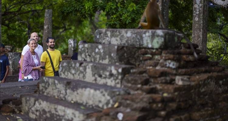 Touristen beobachten einen Affen auf antiken Steinruinen.