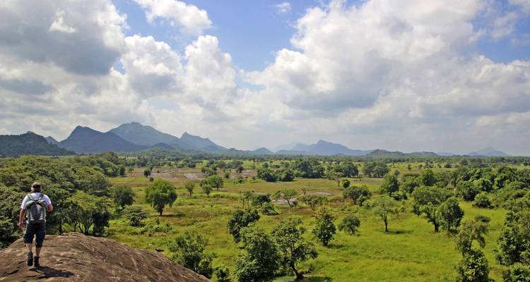 Eine Person, die auf einem Felsen steht, mit einem weiten Horizont aus Feldern und Bergen.