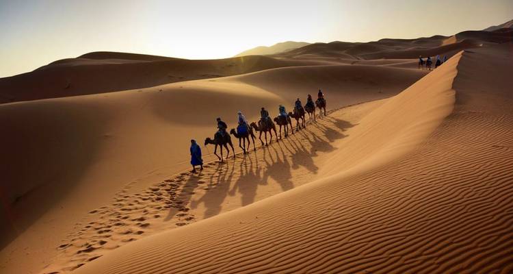 Caravan of camels walking on sand dunes at sunset.