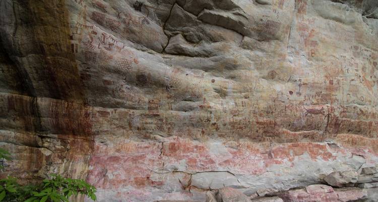 Ancient rock art on a stone face in a forest setting.