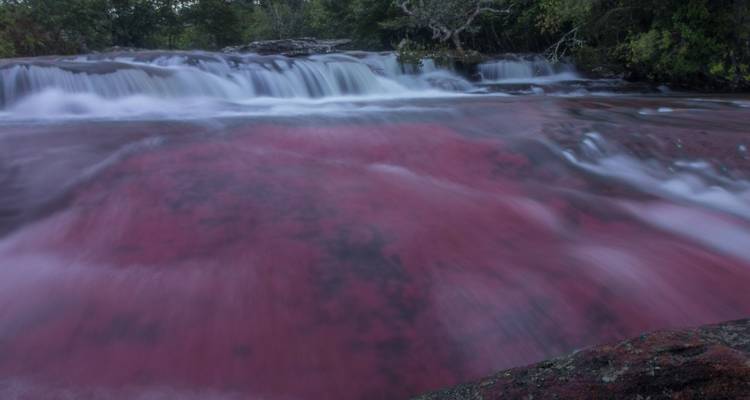 A waterfall pouring over rocks with vibrant pink hues in the water.