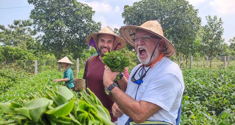 Visitors cheerfully picking herbs in a lush field wearing straw hats.