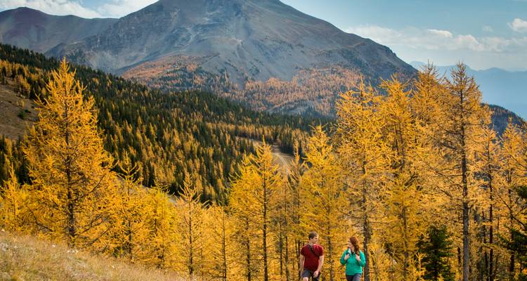 Montañas y bosques con personas caminando en un entorno otoñal.