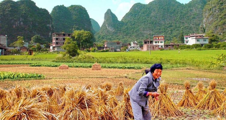 Ackerland mit Karstbergen im Hintergrund und einem Bauern, der Feldfrüchte erntet.