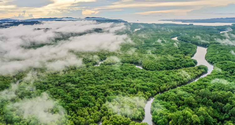 Luchtfoto van kronkelende rivier door weelderig groen bos.