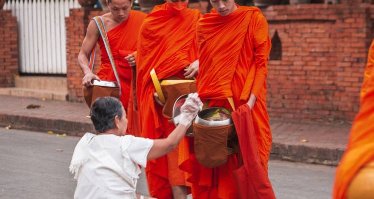 Dawn alms-giving ceremony with a local woman kneeling to offer food to saffron-robed Buddhist monks.