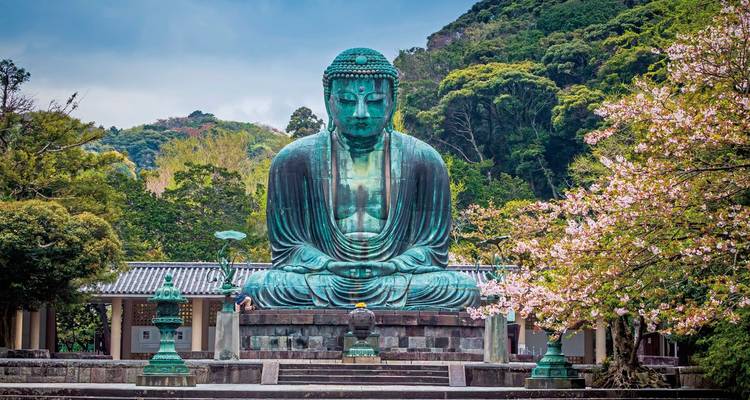 Gran estatua de Buda rodeada de flores de cerezo.