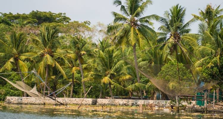 Palmiers et filets de pêche près d'un plan d'eau.