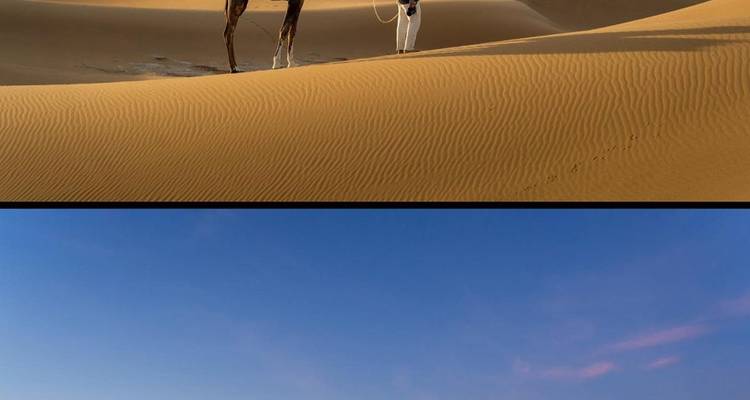 Nomade staand naast kameel op uitgestrekte geribbelde duin onder diepblauwe lucht