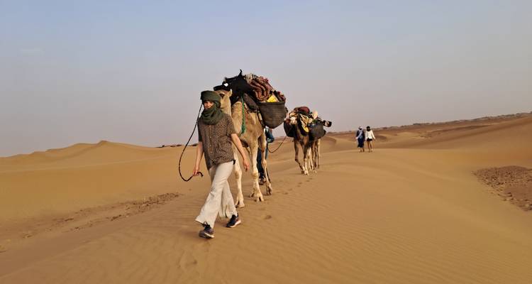 Un hombre guía una caravana de camellos cargados a través de dunas doradas ondulantes mientras sus compañeros lo siguen por detrás.