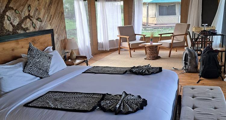 Stylish safari tent interior with king bed, animal print linens, lounge chairs and canvas walls