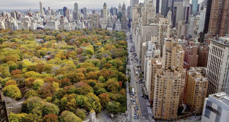 Aerial view of Central Park and surrounding skyscrapers in the fall.