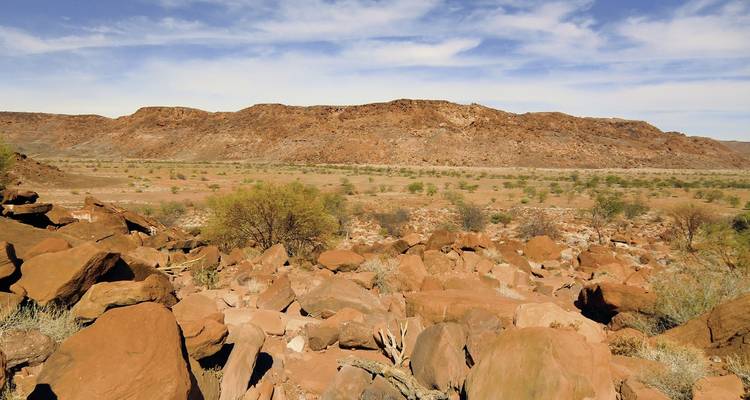 Rocky desert landscape with dry vegetation.
