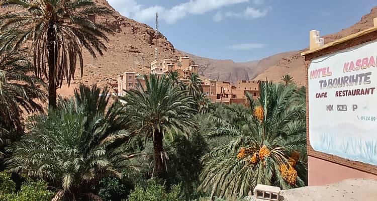 Entrée d'hôtel entourée de palmiers et d'un paysage accidenté.